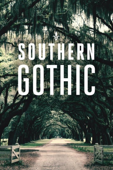 Southern Gothic S01E03 The Sinner 480p x264-mSD