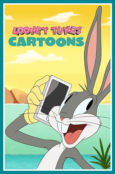 Looney Tunes Cartoons S01E06 480p x264-mSD
