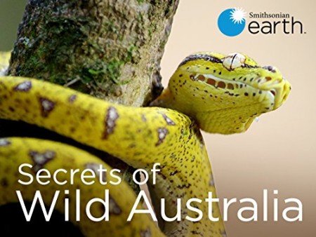 Secrets of Wild Australia S01E05 Mini Marsupials 720p WEB h264-CAFFEiNE