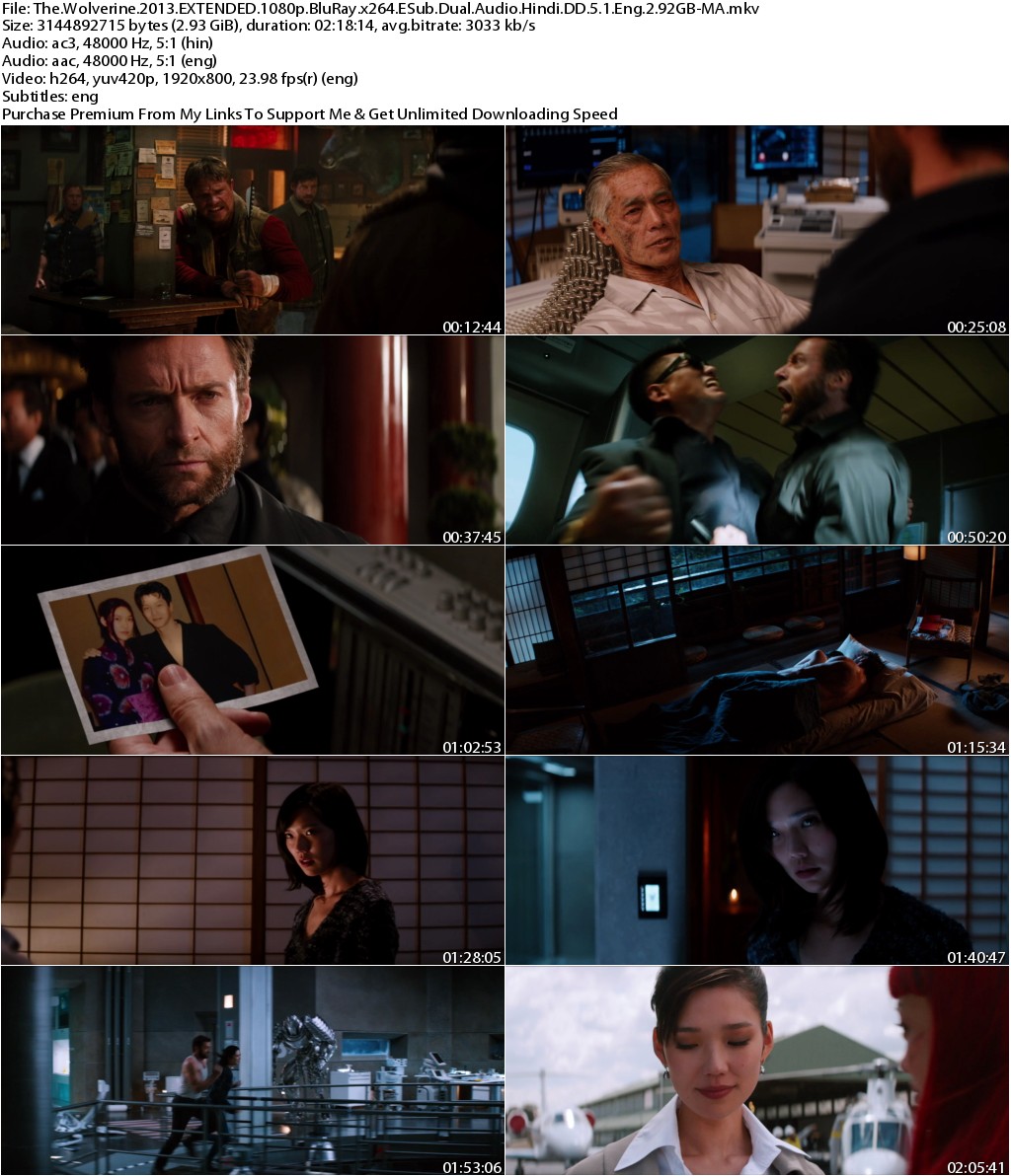 The Wolverine (2013) EXTENDED 1080p BluRay x264 ESub Dual Audio Hindi DD 5.1 Eng 2.92GB-MA