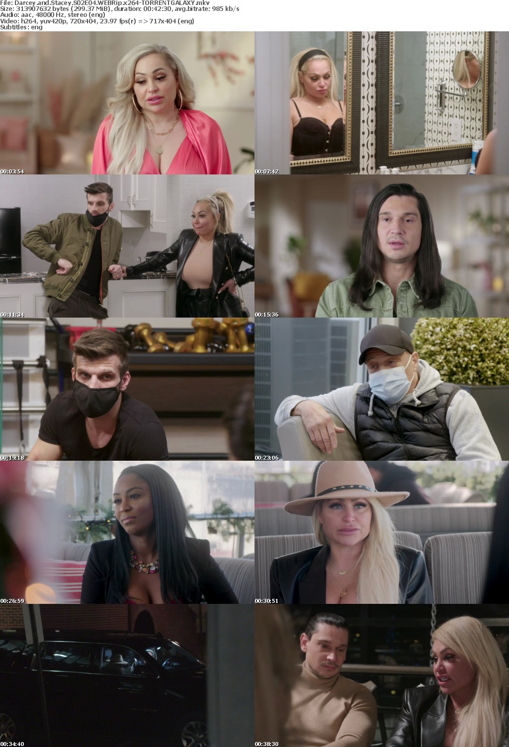 Darcey and Stacey S02E04 WEBRip x264-GALAXY