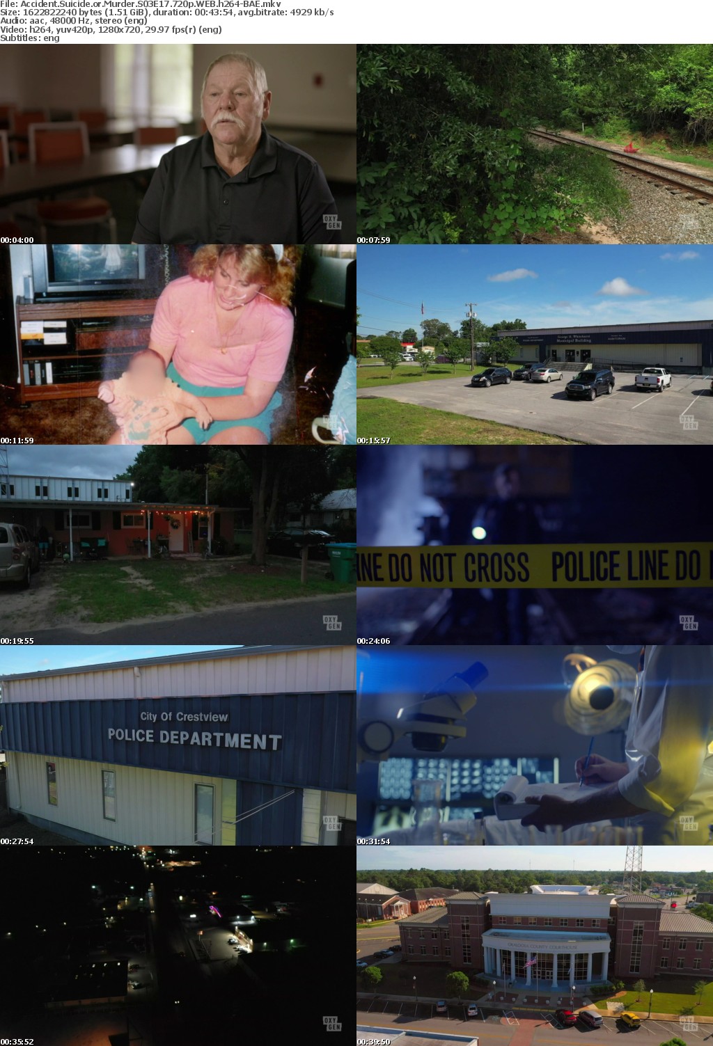 Accident Suicide or Murder S03E17 720p WEB h264-BAE