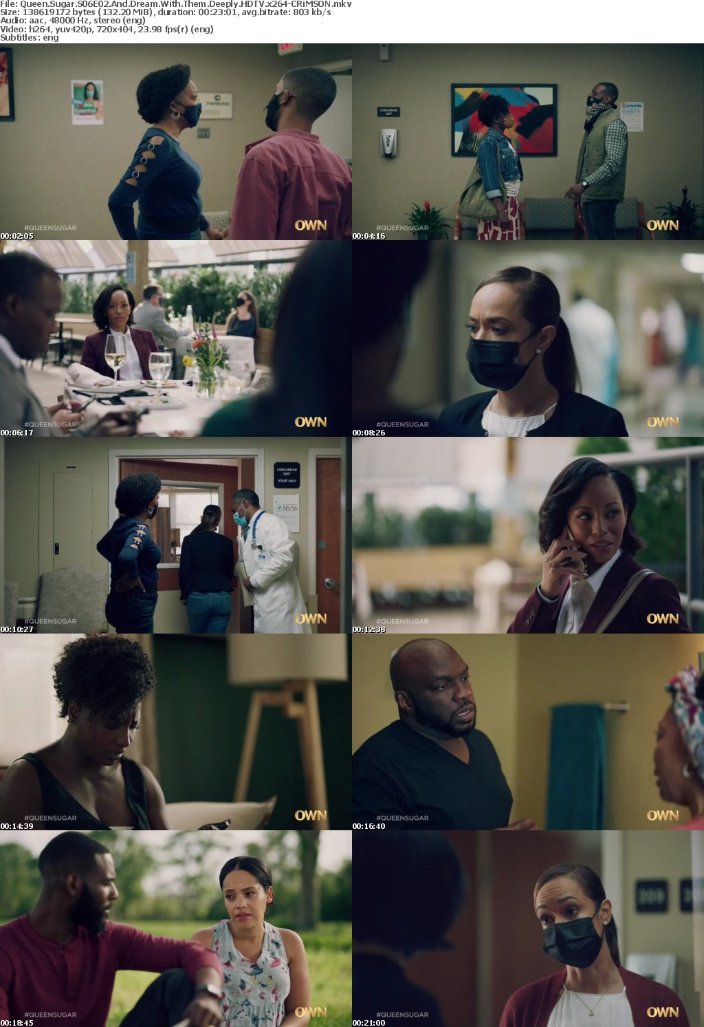 Queen Sugar S06E02 And Dream With Them Deeply HDTV x264-CRiMSON