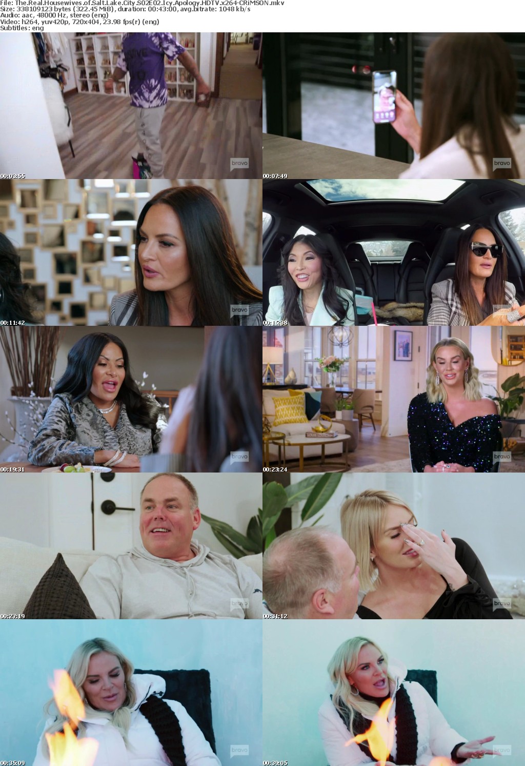 The Real Housewives of Salt Lake City S02E02 Icy Apology HDTV x264-CRiMSON