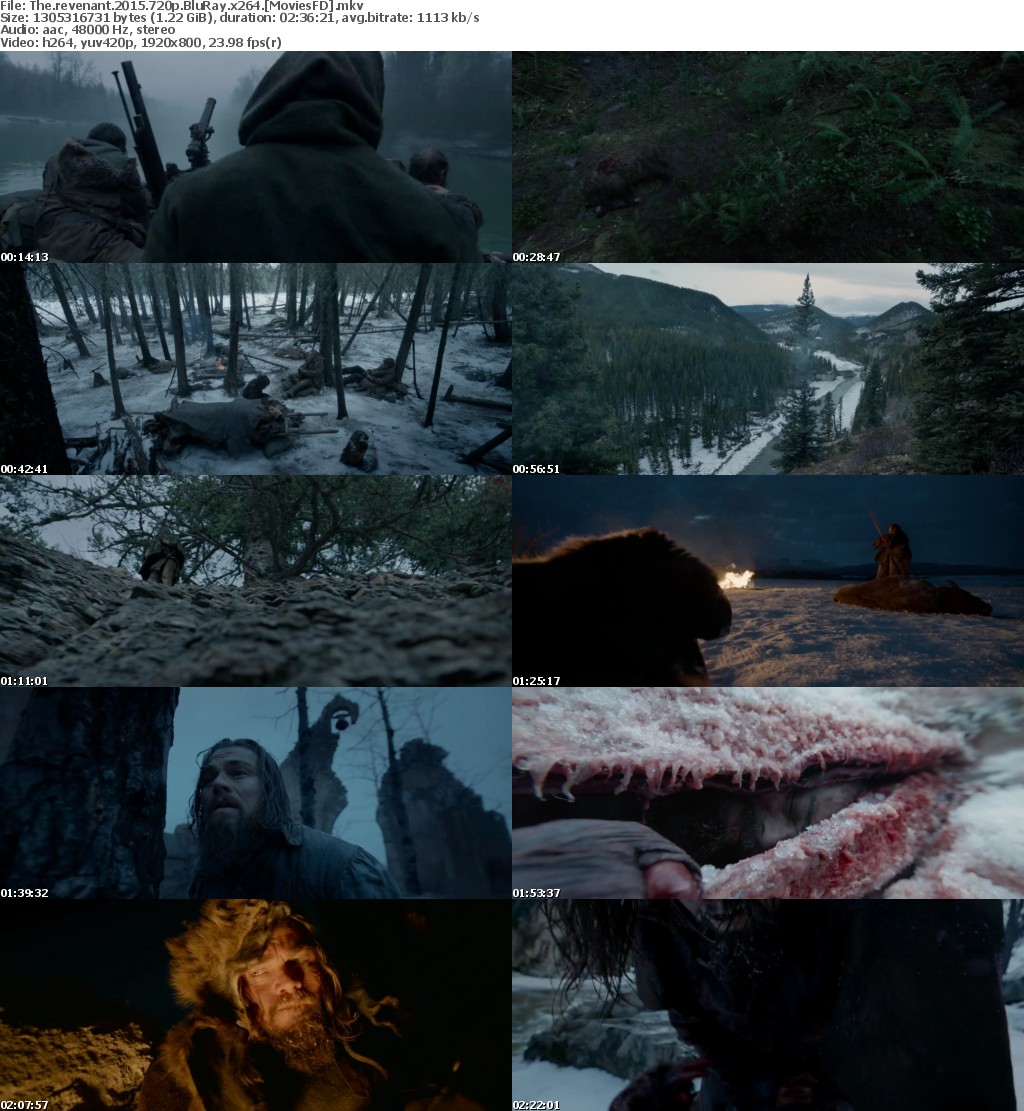 The Revenant (2015) 720p BluRay x264 - Moviesfd