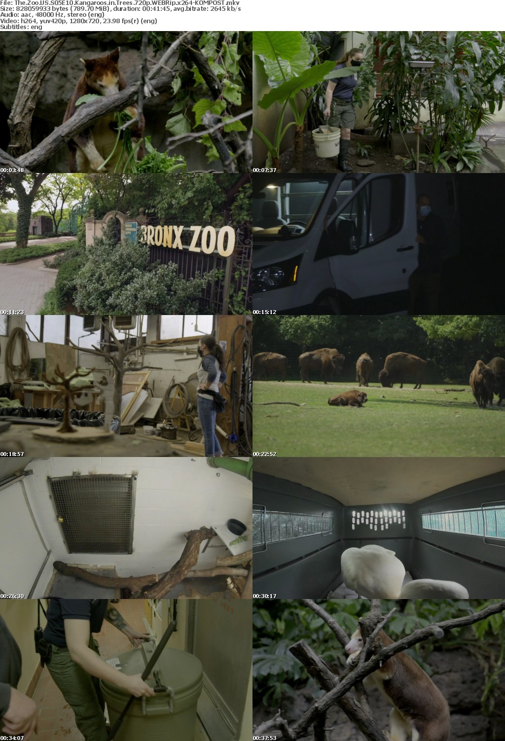 The Zoo US S05E10 Kangaroos in Trees 720p WEBRip x264-KOMPOST