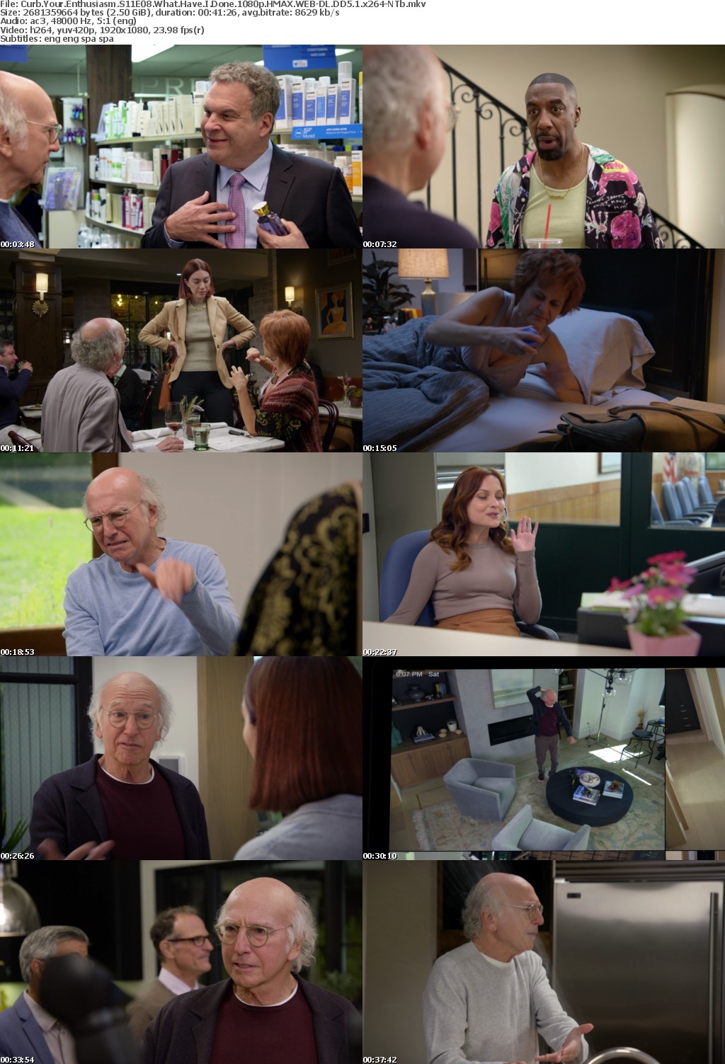 Curb Your Enthusiasm S11E08 What Have I Done 1080p HMAX WEBRip DD5 1 x264-NTb