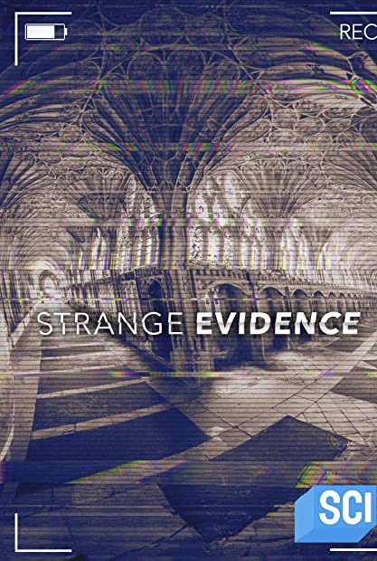 Strange Evidence S06E09 WEB x264-GALAXY