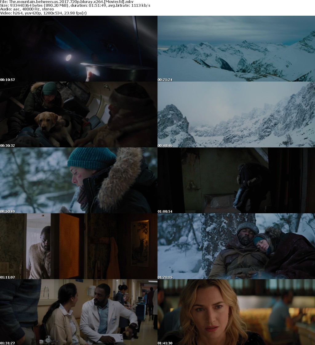 The Mountain Between Us (2017) 720p BluRay x264 - MoviesFD
