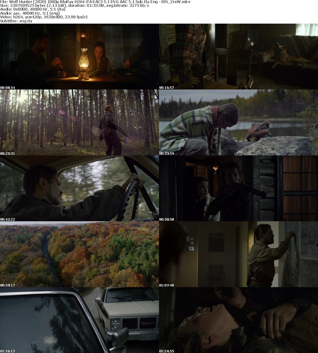 Wolf Hunter (2020) 1080p BluRay H264 iTA EAC3 5 1 ENG AAC 5 1 Sub Ita Eng - iDN CreW