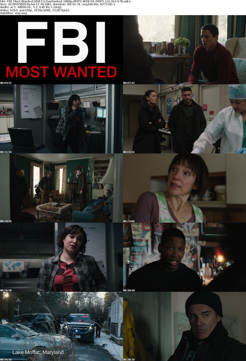 FBI Most Wanted S03E13 Overlooked 1080p AMZN WEBRip DDP5 1 x264-NTb