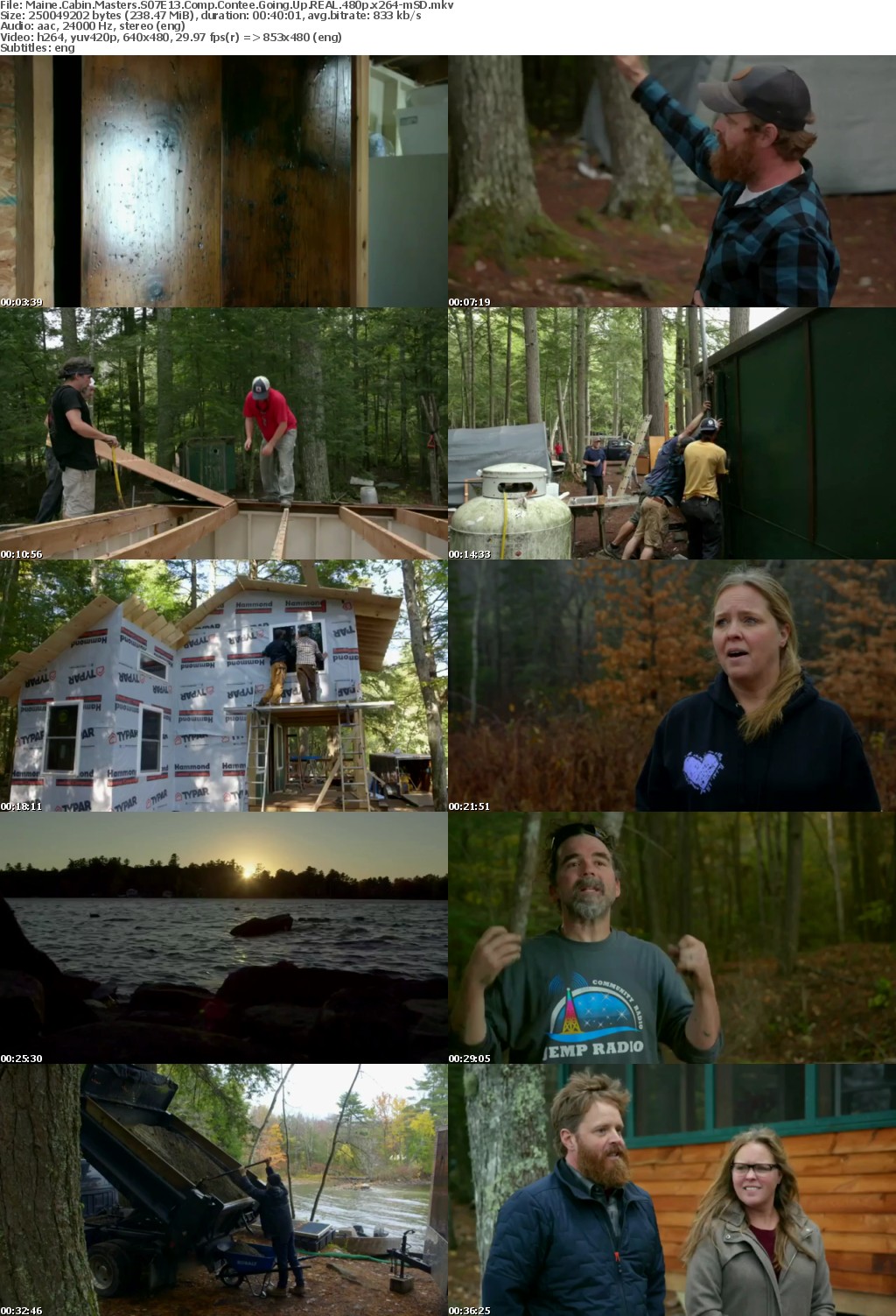 Maine Cabin Masters S07E13 Comp Contee Going Up REAL 480p x264-mSD
