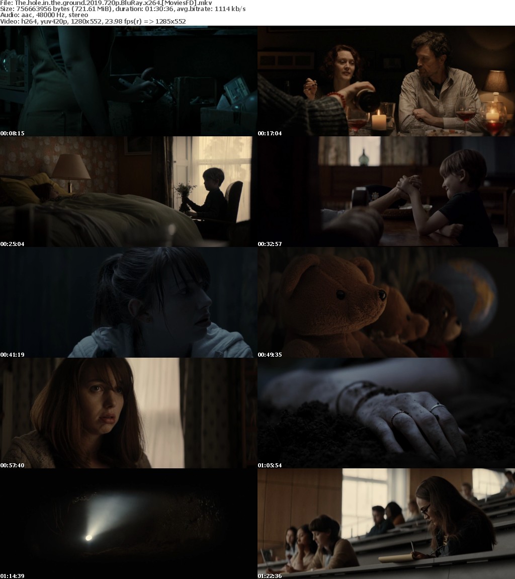 The Hole In The Ground (2019) 720p BluRay x264 - MoviesFD