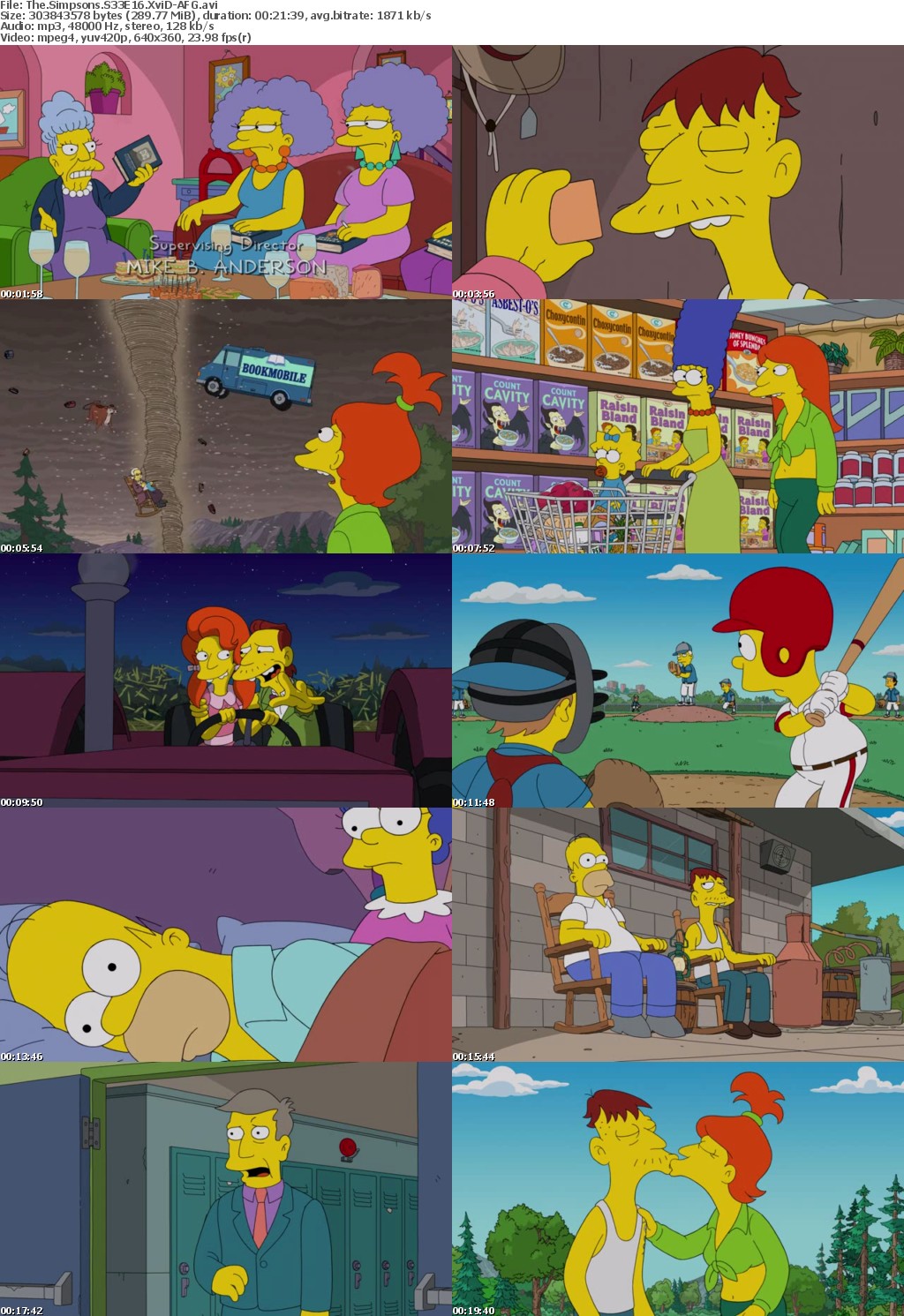The Simpsons S33E16 XviD-AFG