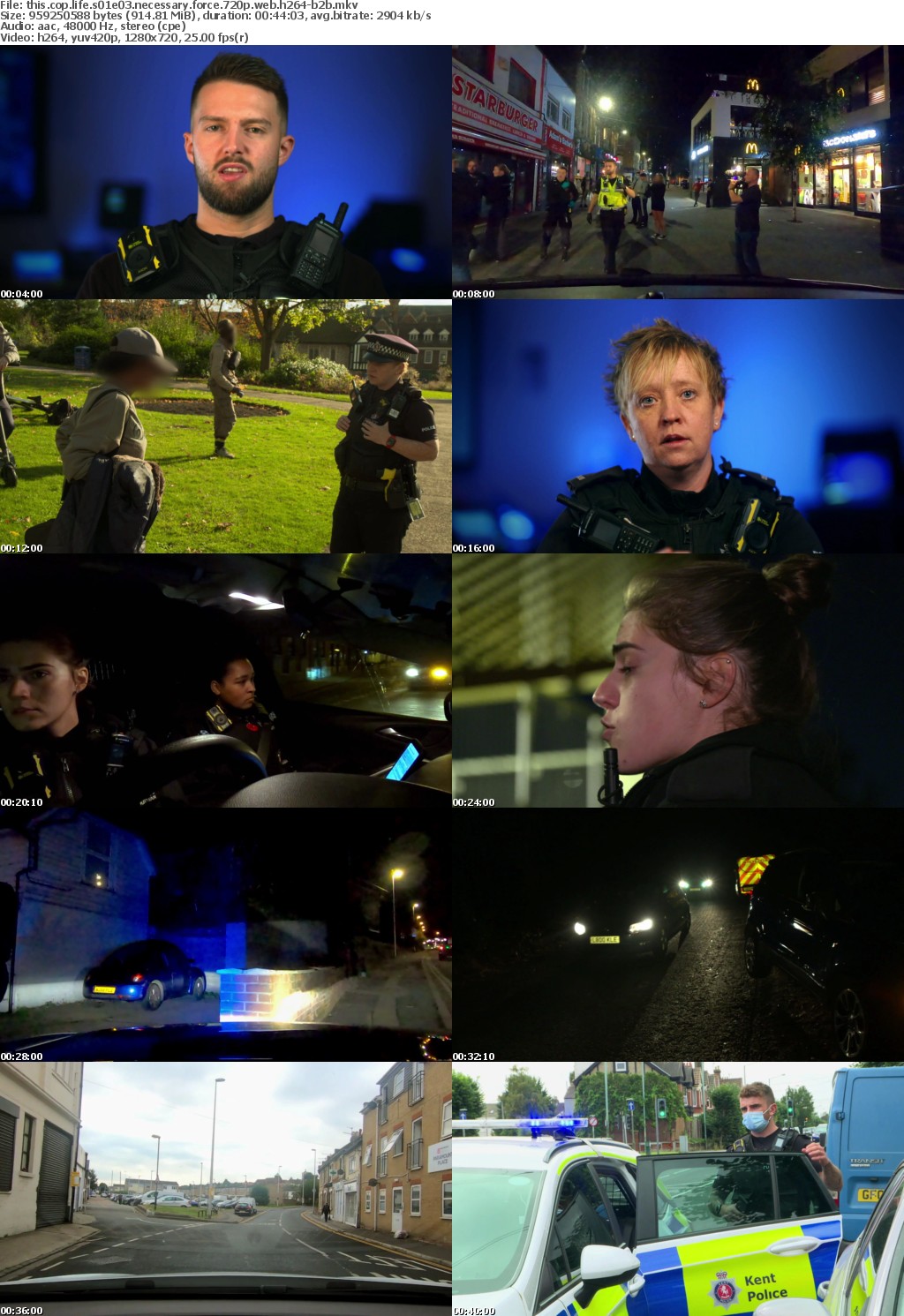 This Cop Life S01E03 Necessary Force 720p WEB h264-B2B
