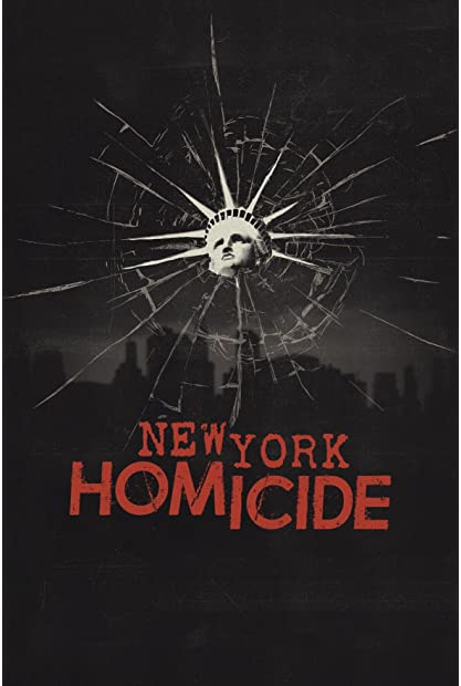 New York Homicide S01E12 WEBRip x264-XEN0N