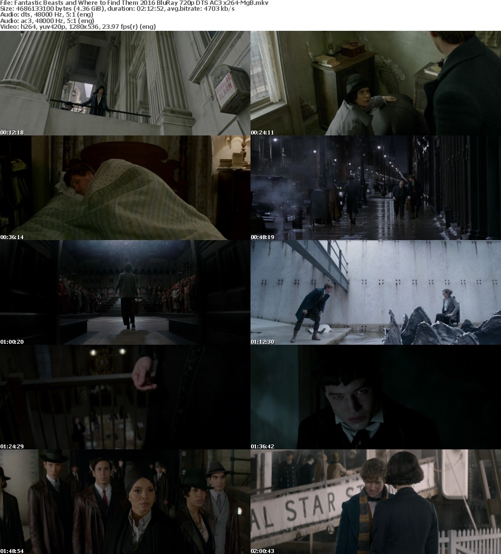Fantastic Beasts and Where to Find Them 2016 BluRay 720p DTS AC3 x264-MgB