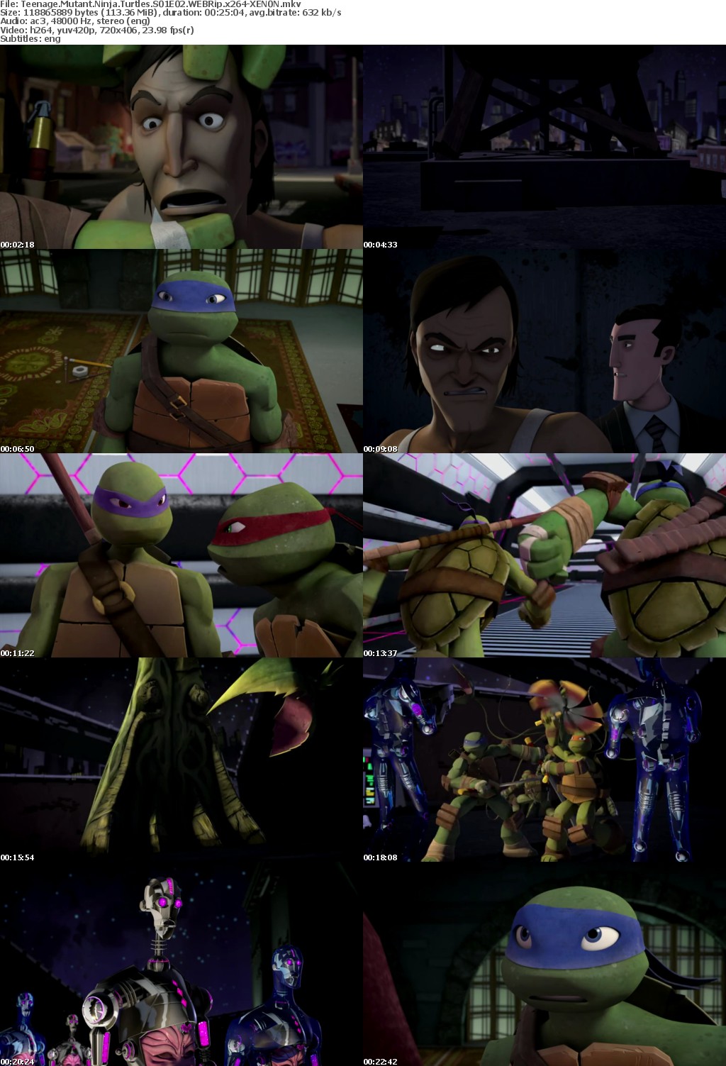 Teenage Mutant Ninja Turtles S01E02 WEBRip x264-XEN0N