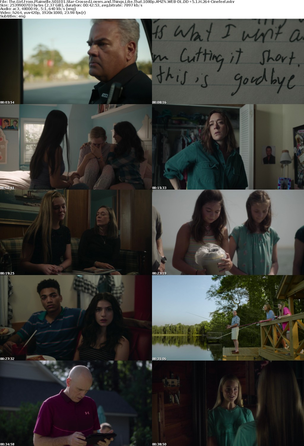 The Girl From Plainville S01E01 Star-Crossed Lovers and Things Like That 1080p AMZN WEBRip DDP5 1 x264-BTN