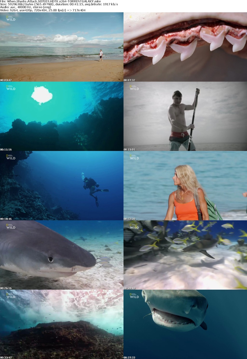 When Sharks Attack S07E03 HDTV x264-GALAXY