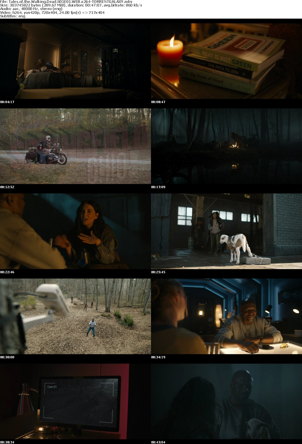 Tales of the Walking Dead S01E01 WEB x264-GALAXY