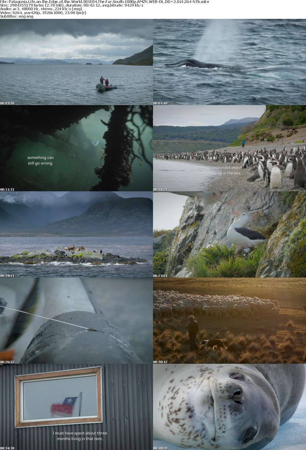 Patagonia Life on the Edge of the World S01E04 The Far South 1080p AMZN WEBRip DDP2 0 x264-NTb