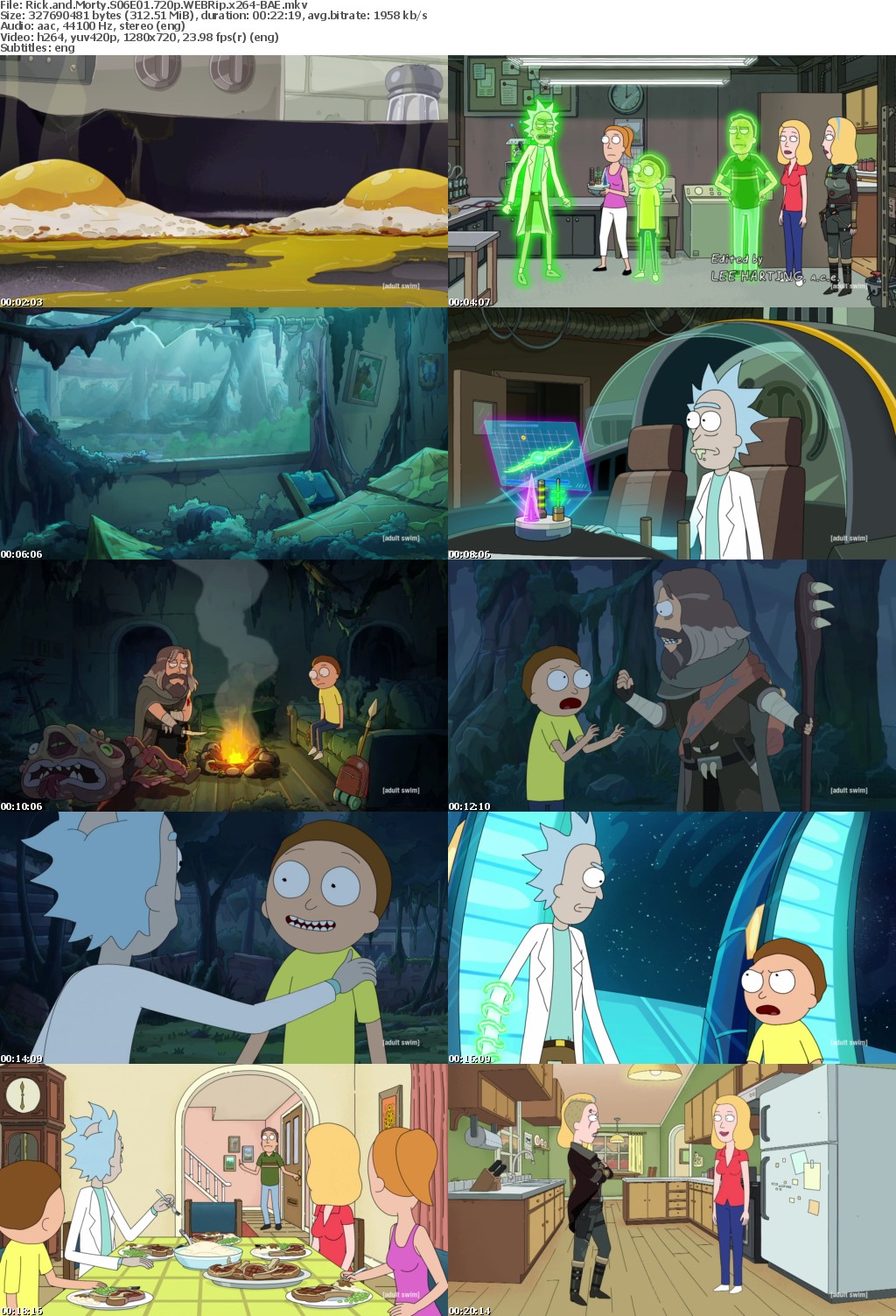Rick and Morty S06E01 720p WEBRip x264-BAE