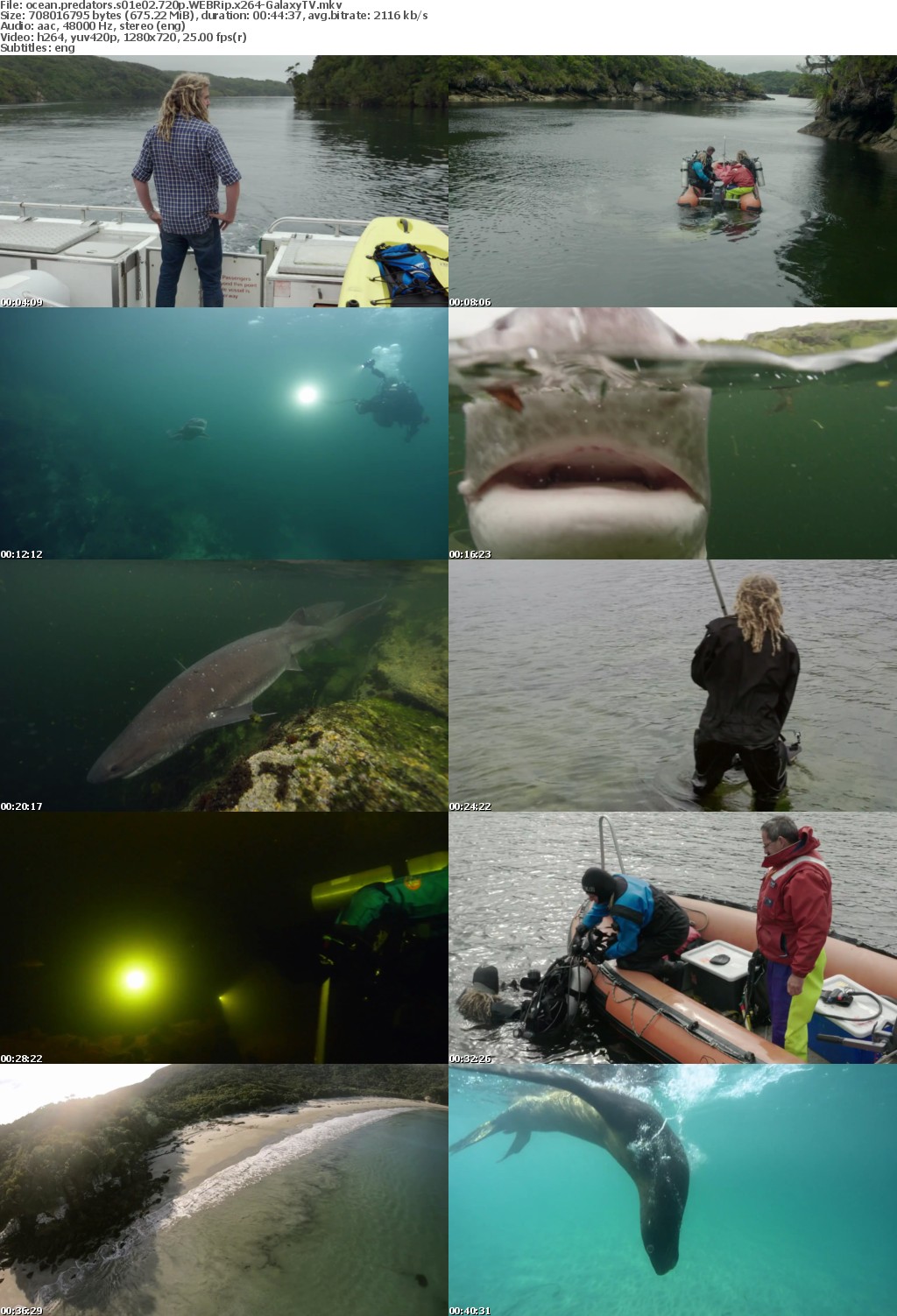 Ocean Predators S01 COMPLETE 720p WEBRip x264-GalaxyTV