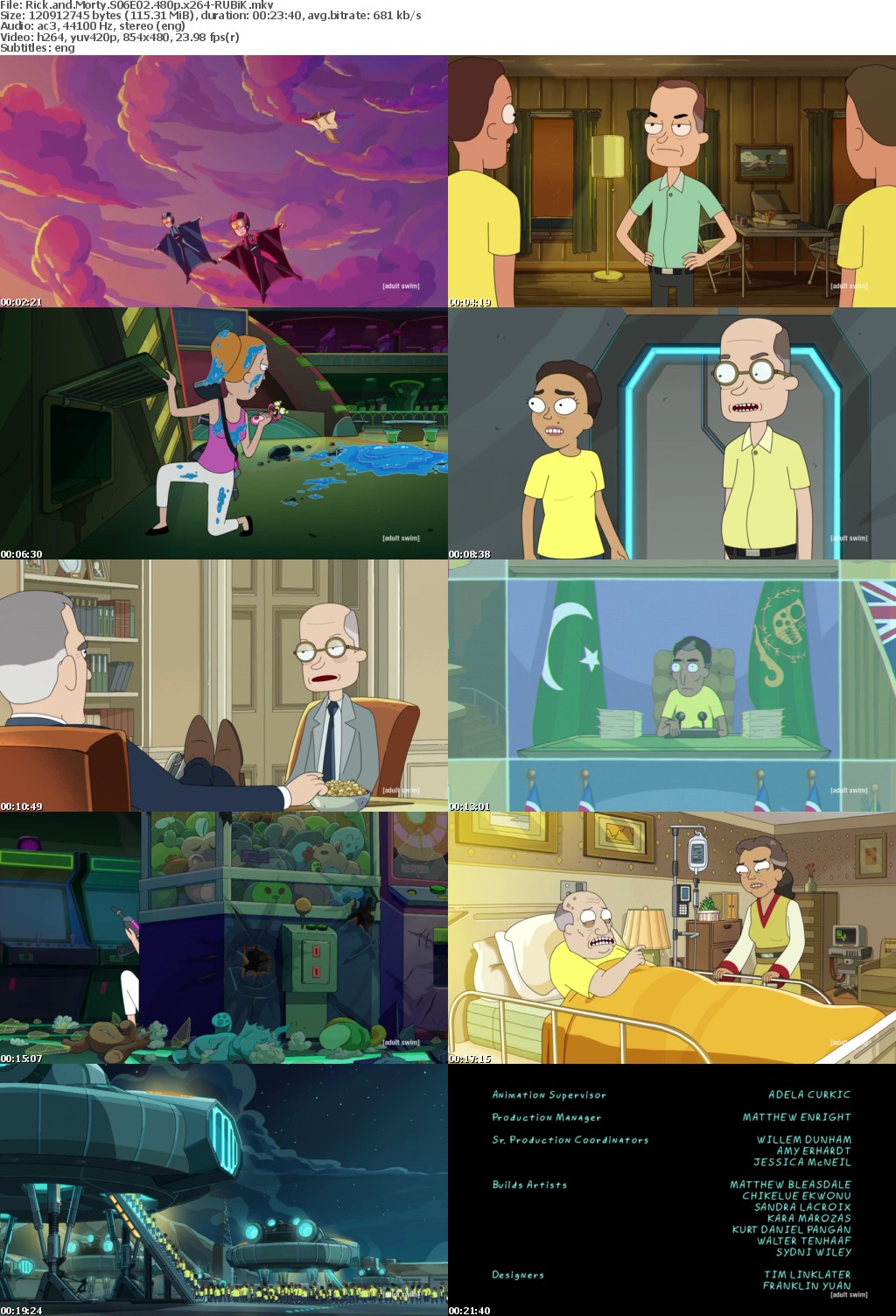 Rick and Morty S06E02 480p x264-RUBiK
