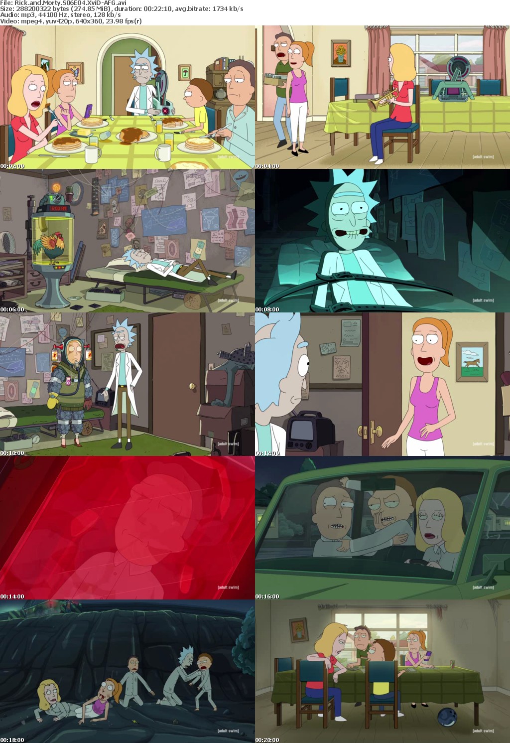 Rick and Morty S06E04 XviD-AFG