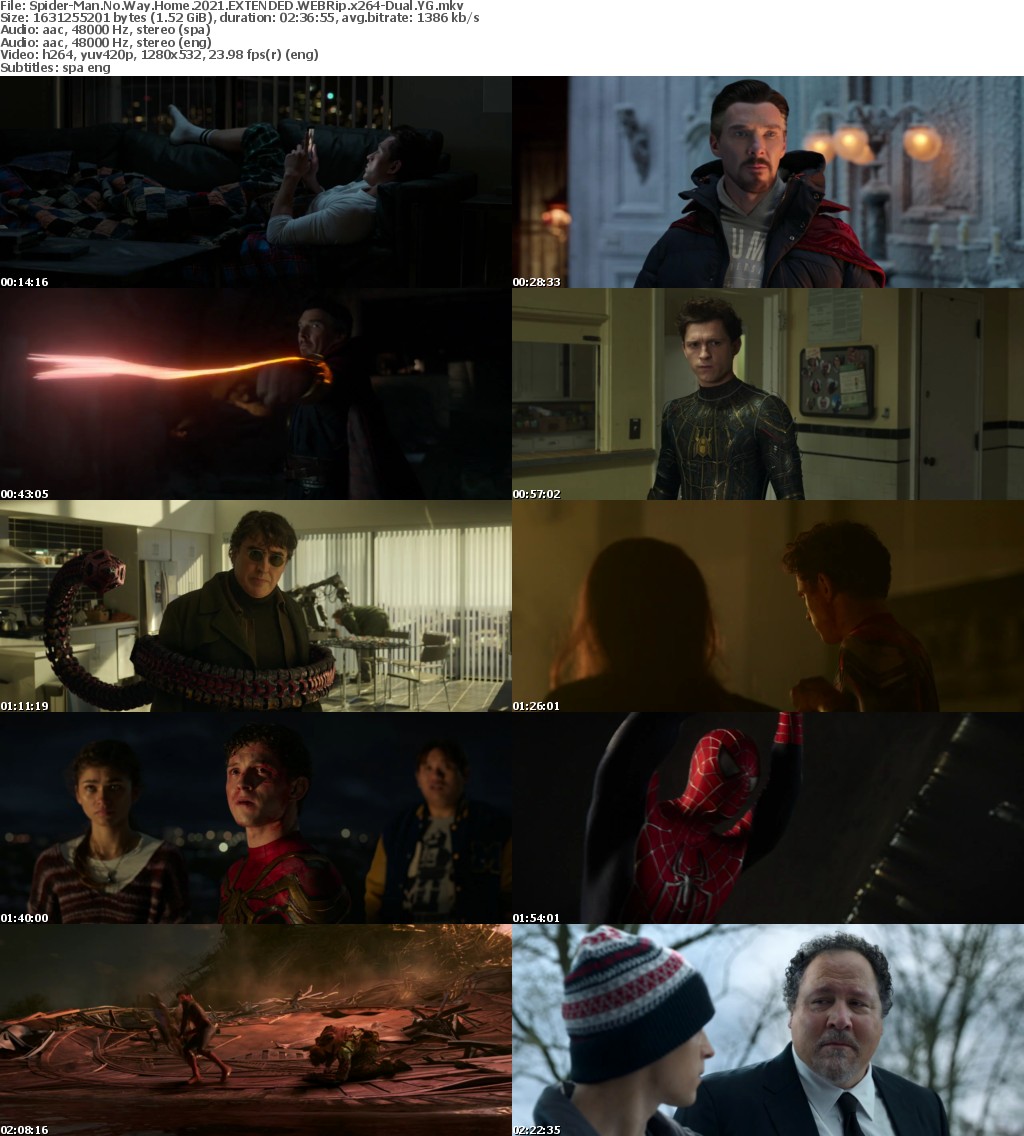 Spider-Man No Way Home 2021 EXTENDED WEBRip x264-Dual YG