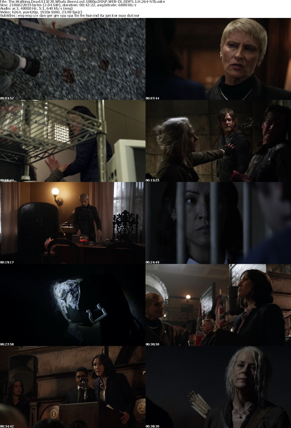 The Walking Dead S11E20 Whats Been Lost 1080p DSNP WEBRip DDP5 1 x264-NTb