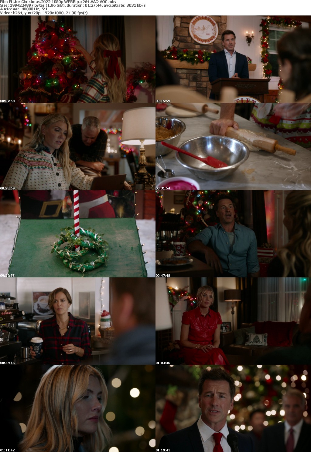 Fit for Christmas 2022 1080p WEBRip x264 AAC-AOC