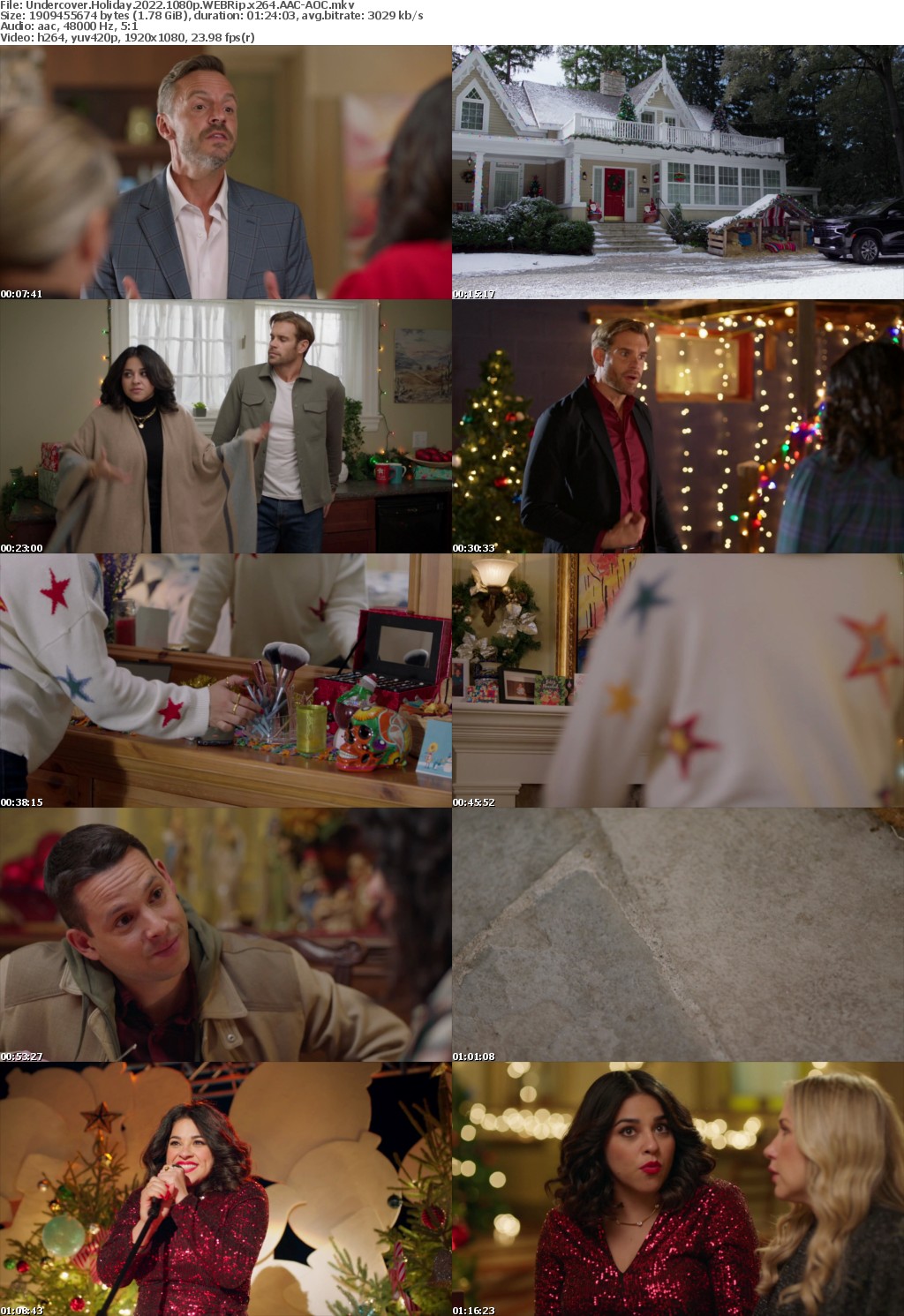 Undercover Holiday 2022 1080p WEBRip x264 AAC-AOC
