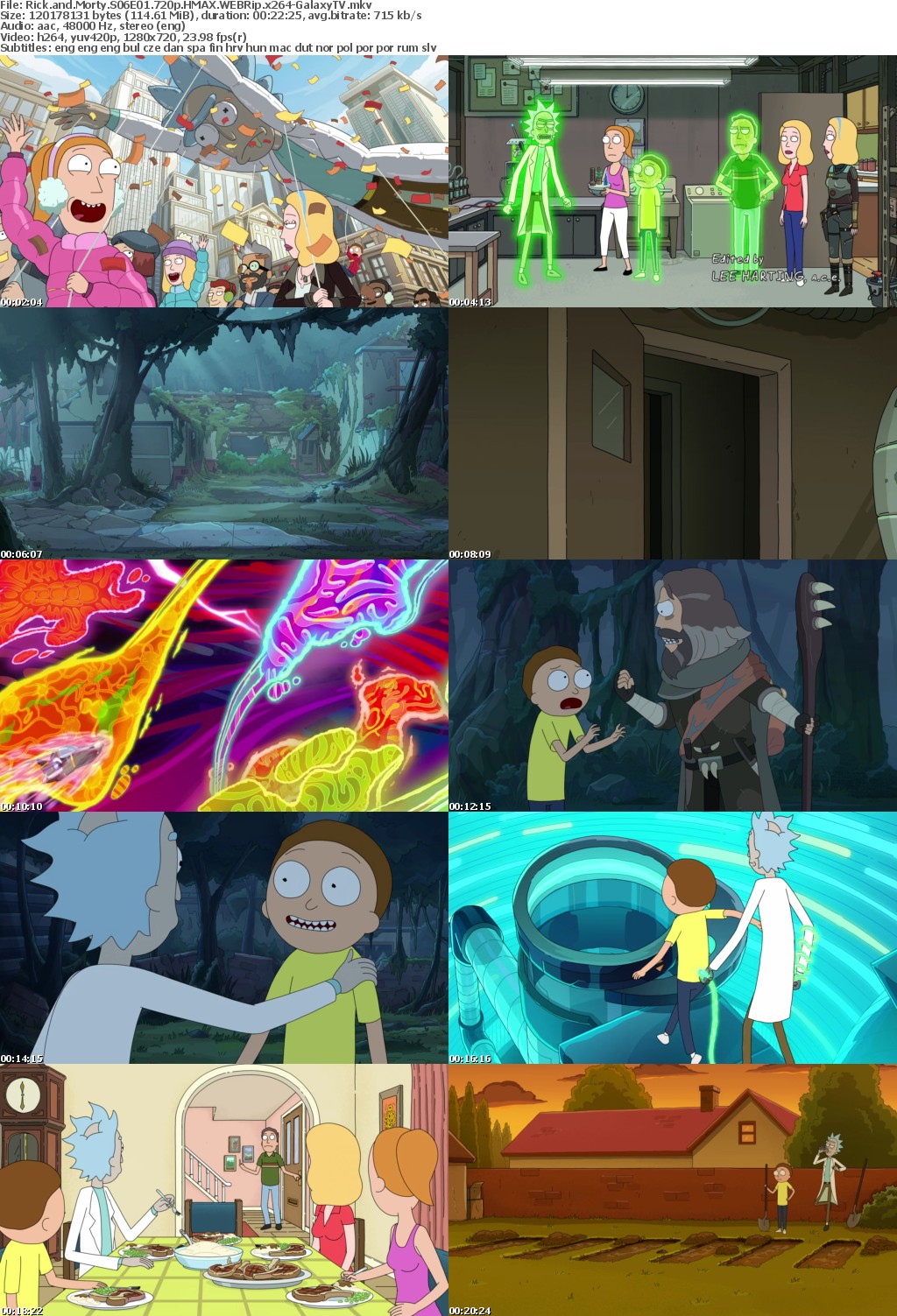 Rick and Morty S06 COMPLETE 720p HMAX WEBRip x264-GalaxyTV