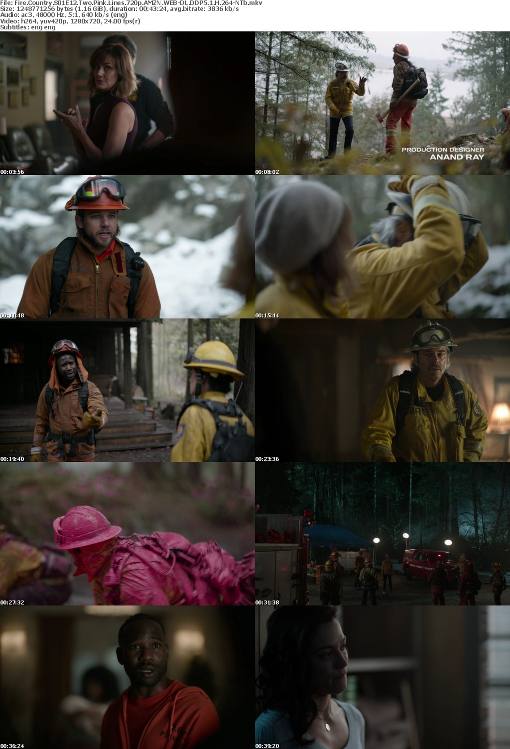 Fire Country S01E12 Two Pink Lines 720p AMZN WEBRip DDP5 1 x264-NTb