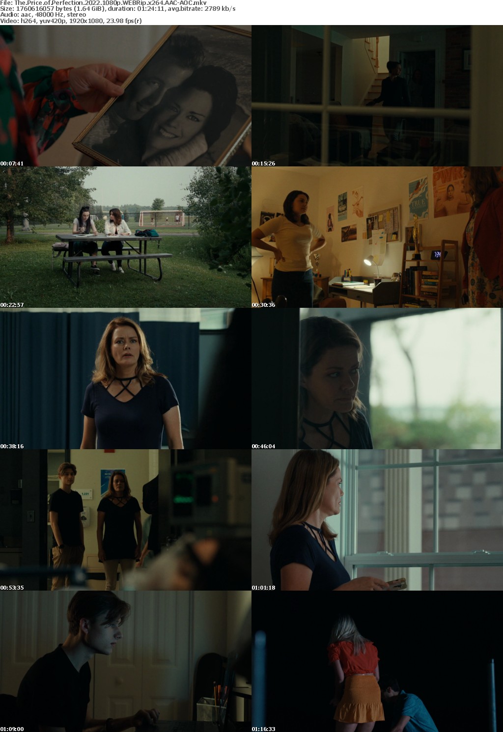 The Price of Perfection 2022 1080p WEBRip x264 AAC-AOC