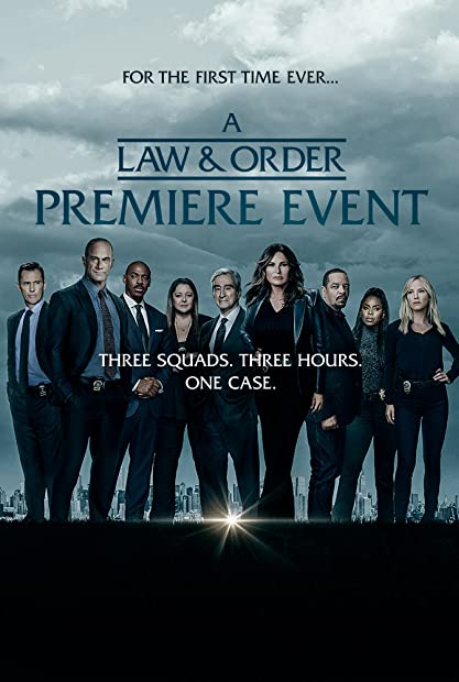 Law and Order S22E13 XviD-AFG