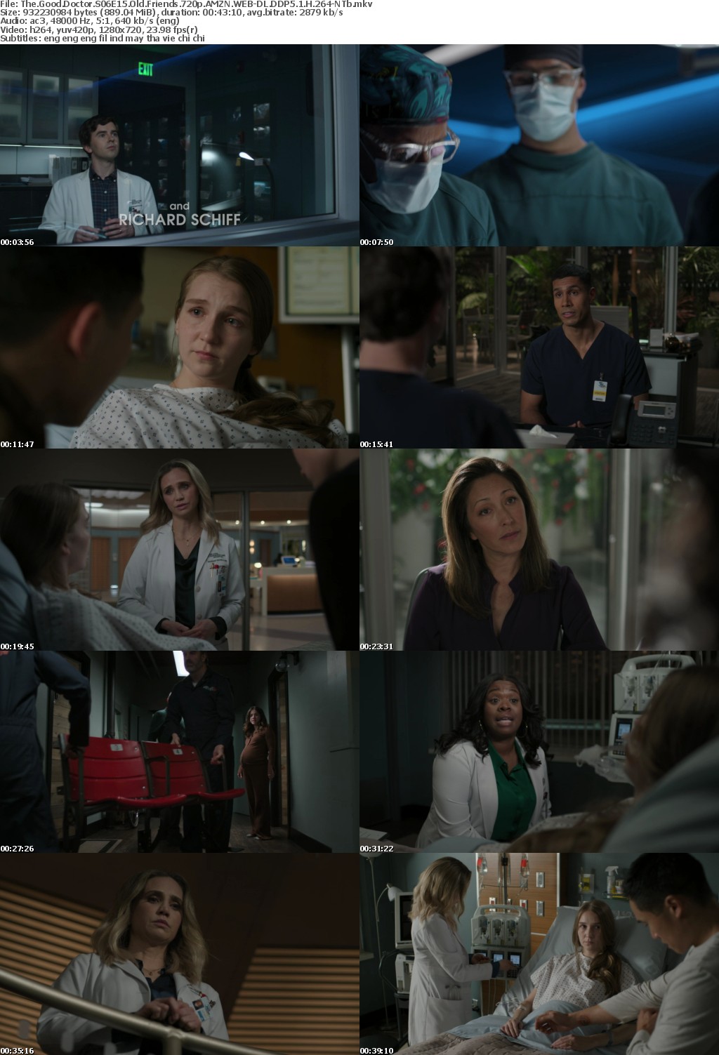 The Good Doctor S06E15 Old Friends 720p AMZN WEBRip DDP5 1 x264-NTb