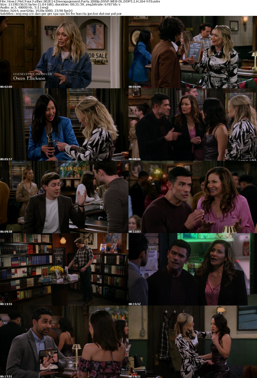 How I Met Your Father S02E14 Disengagement Party 1080p DSNP WEB-DL DDP5 1 H 264-NTb