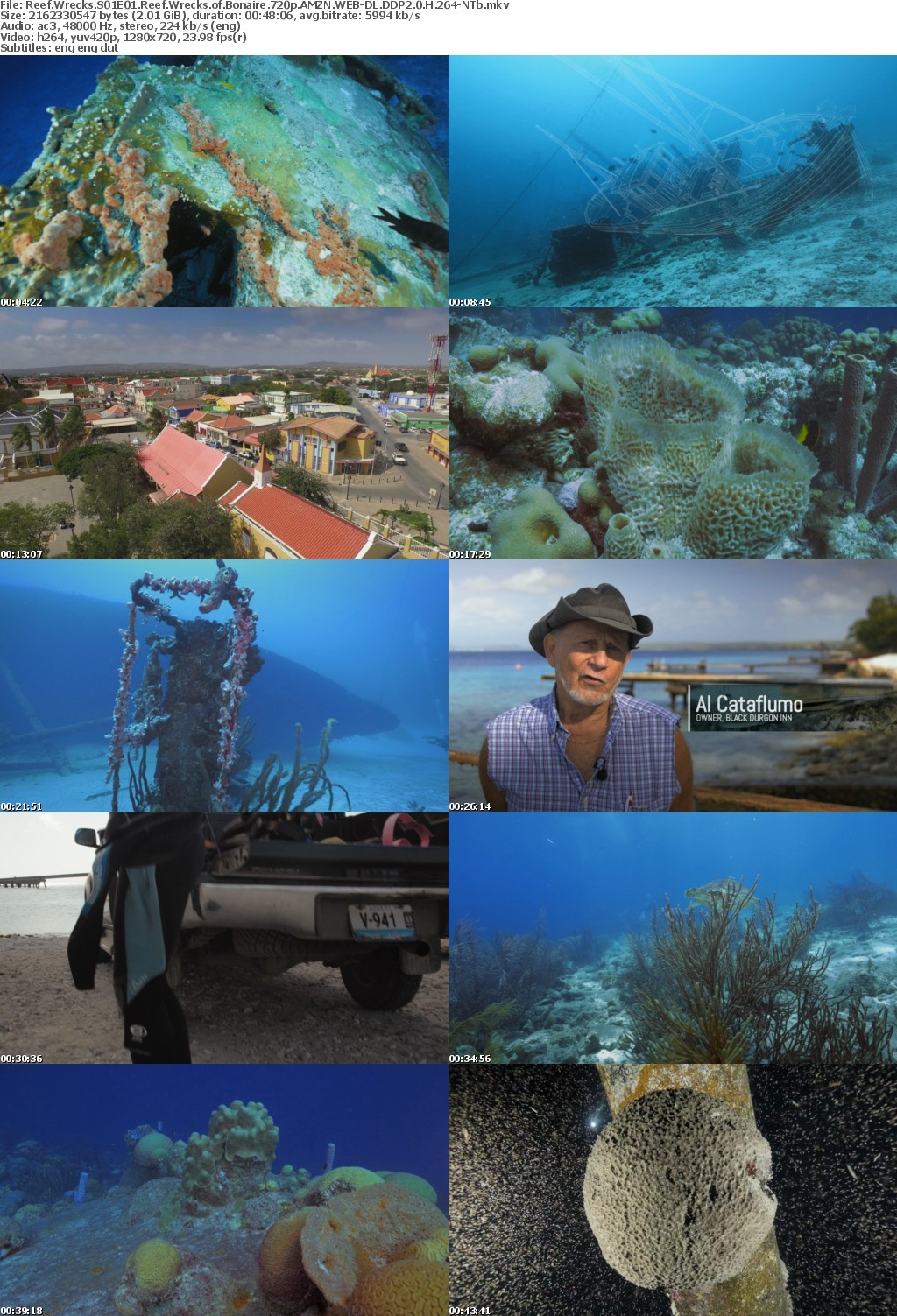 Reef Wrecks S01E01 Reef Wrecks of Bonaire 720p AMZN WEB-DL DDP2 0 H 264-NTb