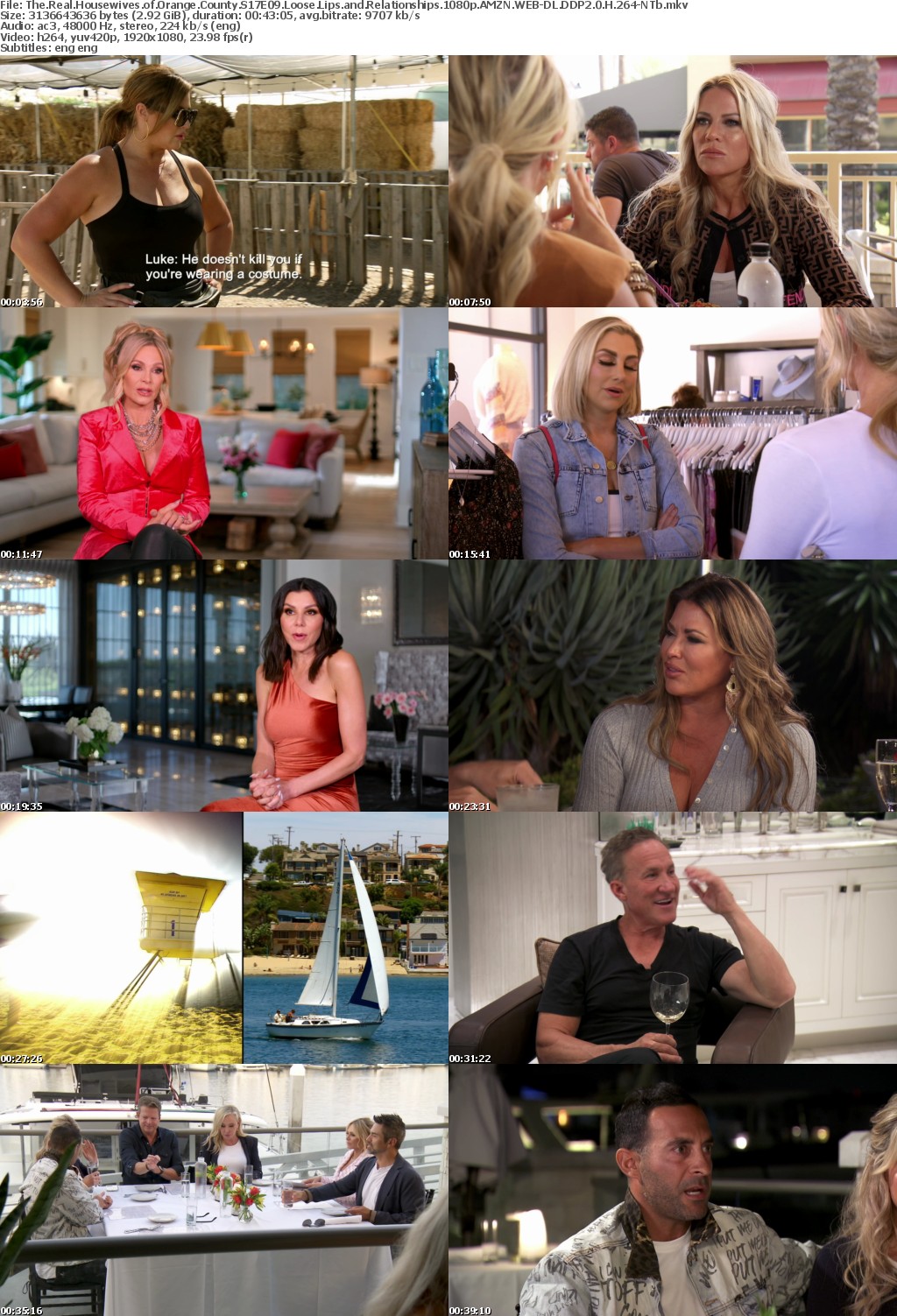 The Real Housewives of Orange County S17E09 Loose Lips and Relationships 1080p AMZN WEB-DL DDP2 0 H 264-NTb