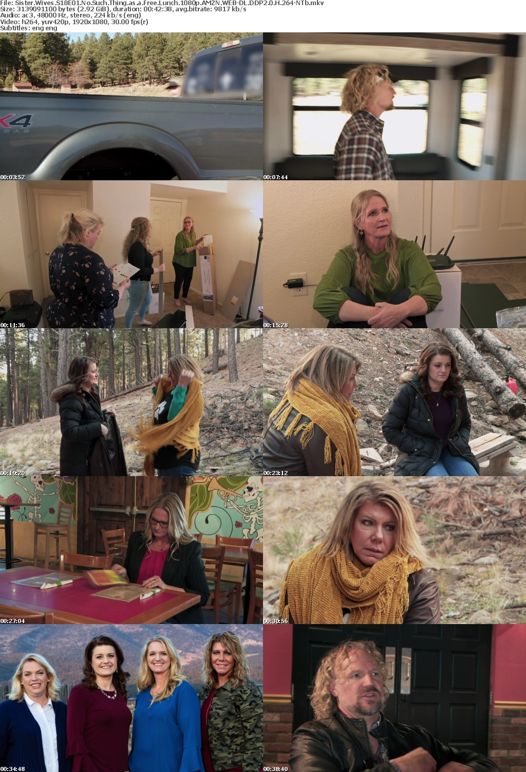 Sister Wives S18E01 No Such Thing as a Free Lunch 1080p AMZN WEB-DL DDP2 0 H 264-NTb