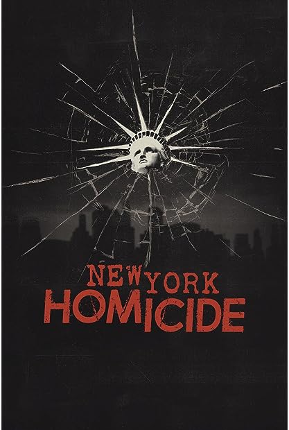 New York Homicide S02E11 WEBRip x264-GALAXY