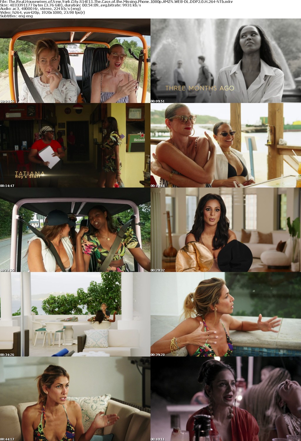 The Real Housewives of New York City S14E11 The Case of the Missing Phone 1080p AMZN WEB-DL DDP2 0 H 264-NTb