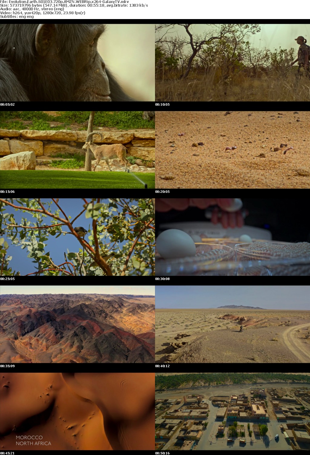 Evolution Earth S01 COMPLETE 720p AMZN WEBRip x264-GalaxyTV
