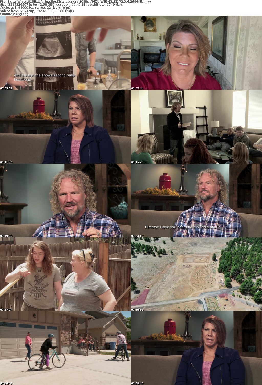 Sister Wives S18E11 Airing the Dirty Laundry 1080p AMZN WEB-DL DDP2 0 H 264-NTb