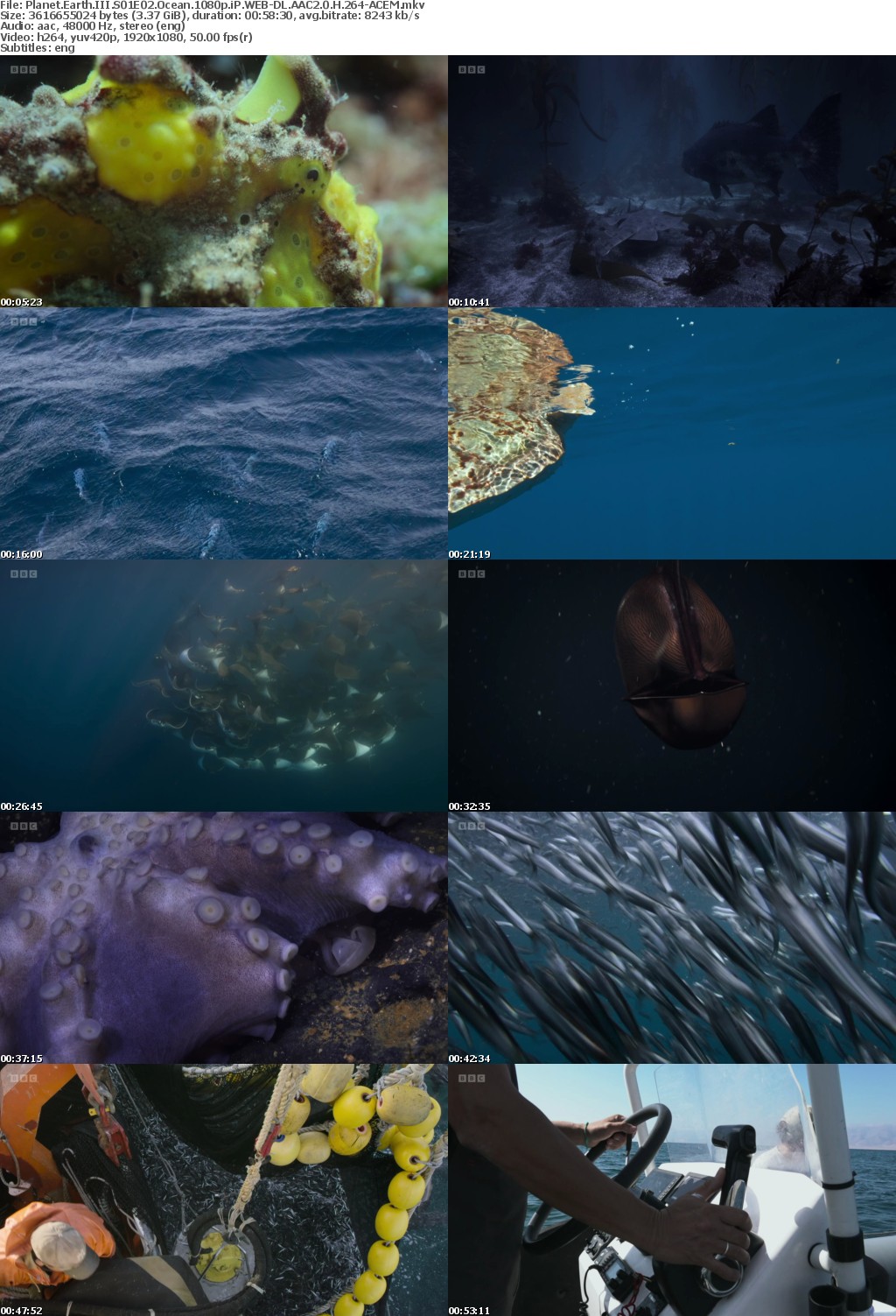 Planet Earth III S01E02 Ocean 1080p iP WEB-DL AAC2 0 H 264-ACEM