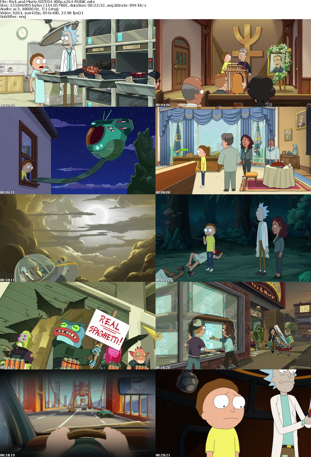 Rick and Morty S07E04 480p x264-RUBiK