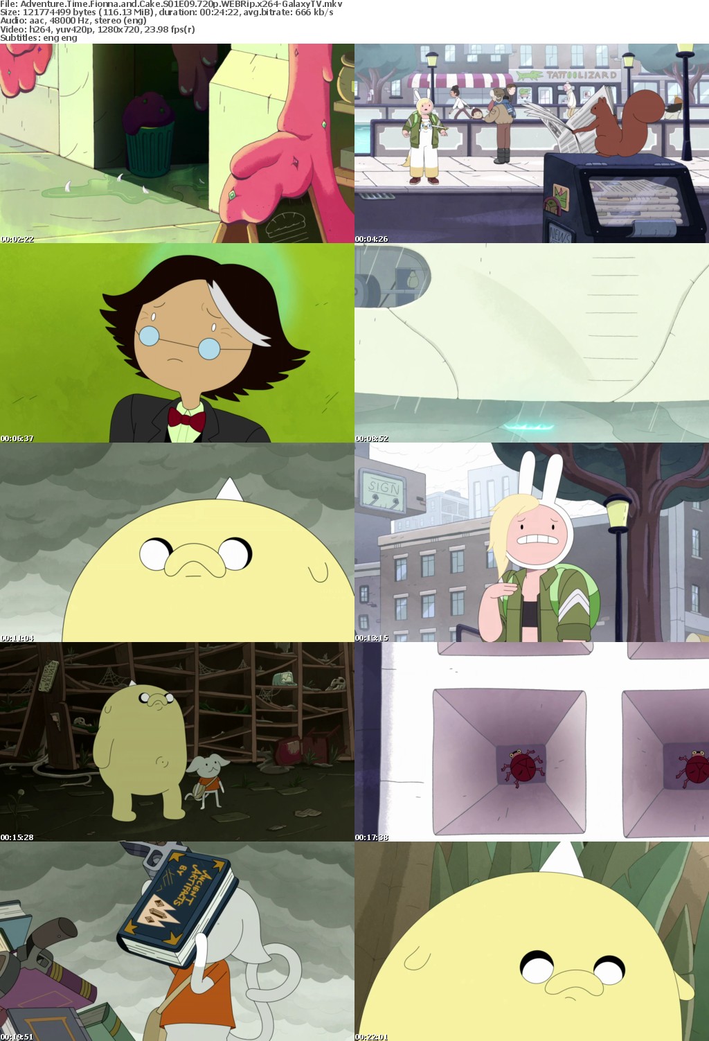 Adventure Time Fionna and Cake S01 COMPLETE 720p WEBRip x264-GalaxyTV